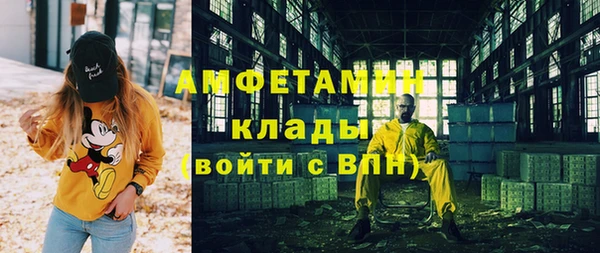 индика Горнозаводск