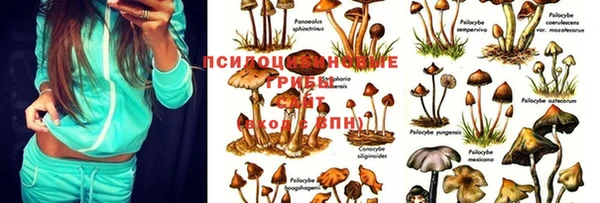 соль курить ск Вяземский